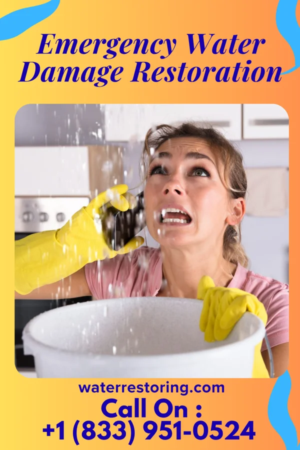 Emergency Water Damage Restoration in Goodview, MN