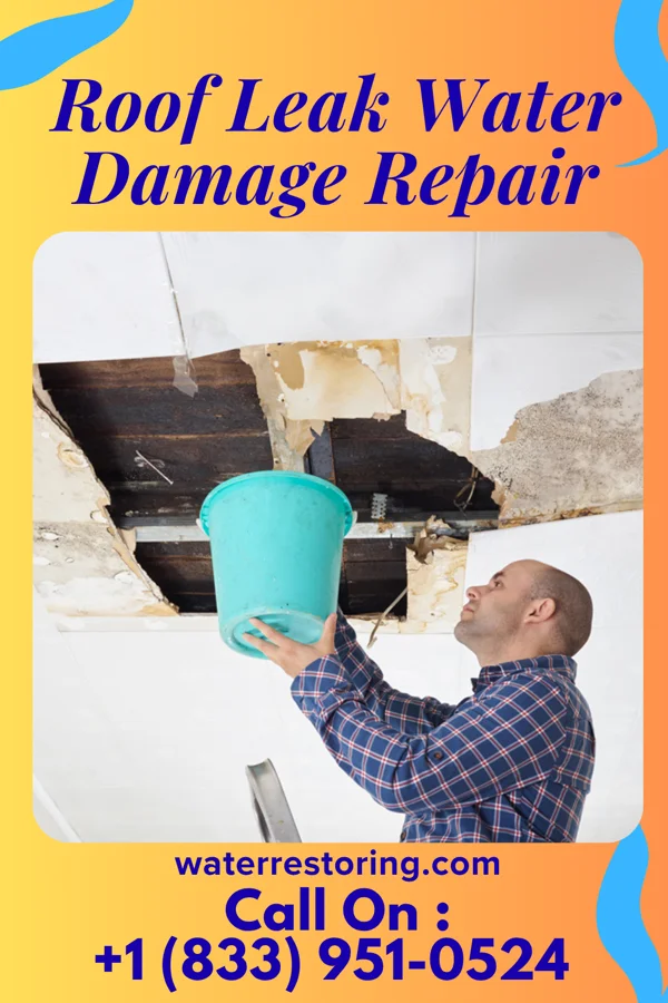 Roof Leak Water Damage Repair in Goodview, MN